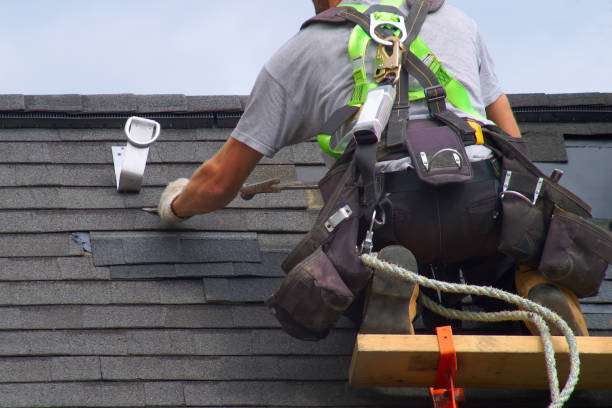 Best Roof Gutter Cleaning  in Hamtramck, MI