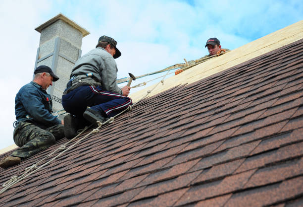 Best Emergency Roof Repair  in Hamtramck, MI